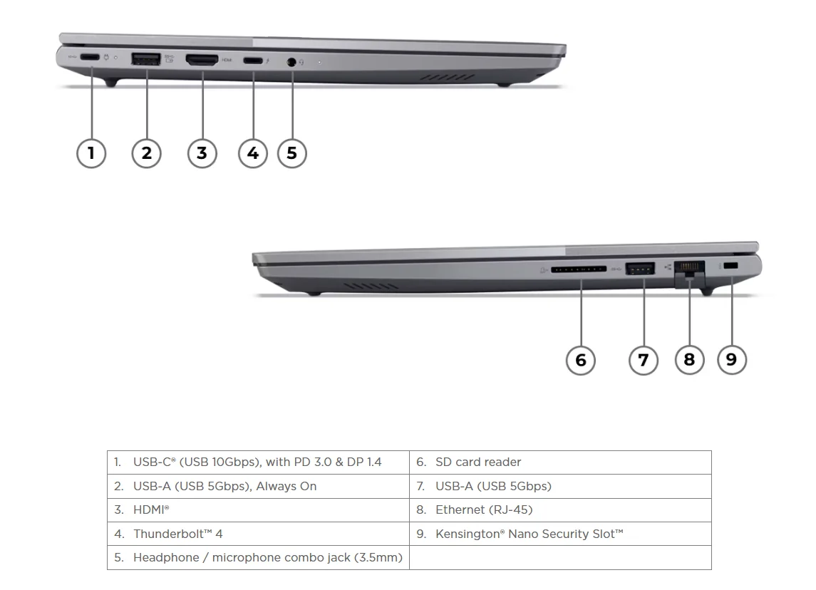 Input Image